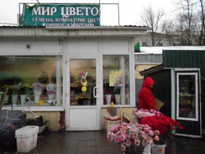 Мир цветов